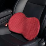 confort fessier auto