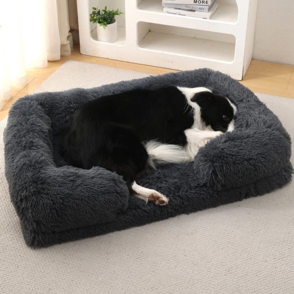 Coussin chien XXL