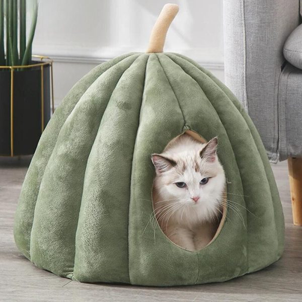 coussin citrouille chat