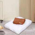 accessoire pour chien moderne