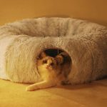 Coussin enveloppant pour chat