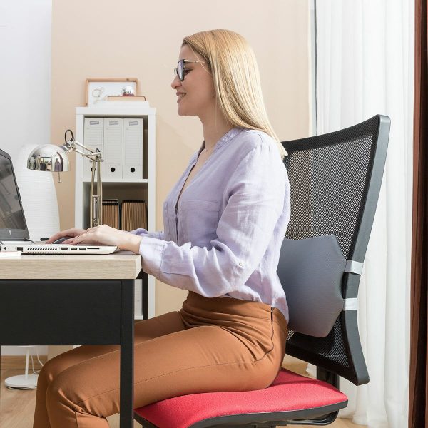 soutien lombaire ergonomique