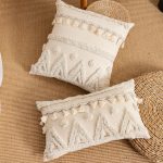 coussin raffiné salon