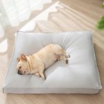 Détente Coussin chien apaisant