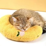 coussin moelleux pour chats