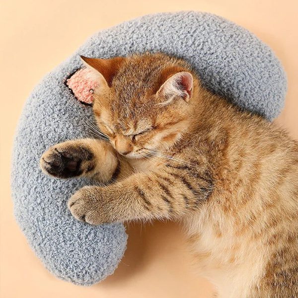 coussin peluche doux pour chat