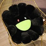 coussin moelleux