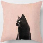 coussin chat ambiance joyeuse