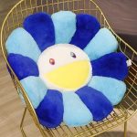 coussin coloré salon
