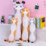 coussin long chat dans un salon