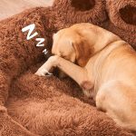 coussin pour grand chien