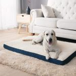 coussin chien mémoire de forme