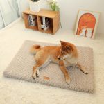 Coussin confort pour chien
