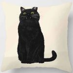 rembourrage coussin chat drôle