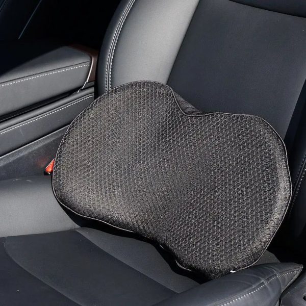 coussin voiture fessier