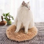 coussin chat chauffant doux