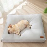 coussin imperméable chien
