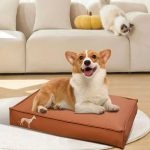 coussin imperméable pour chien